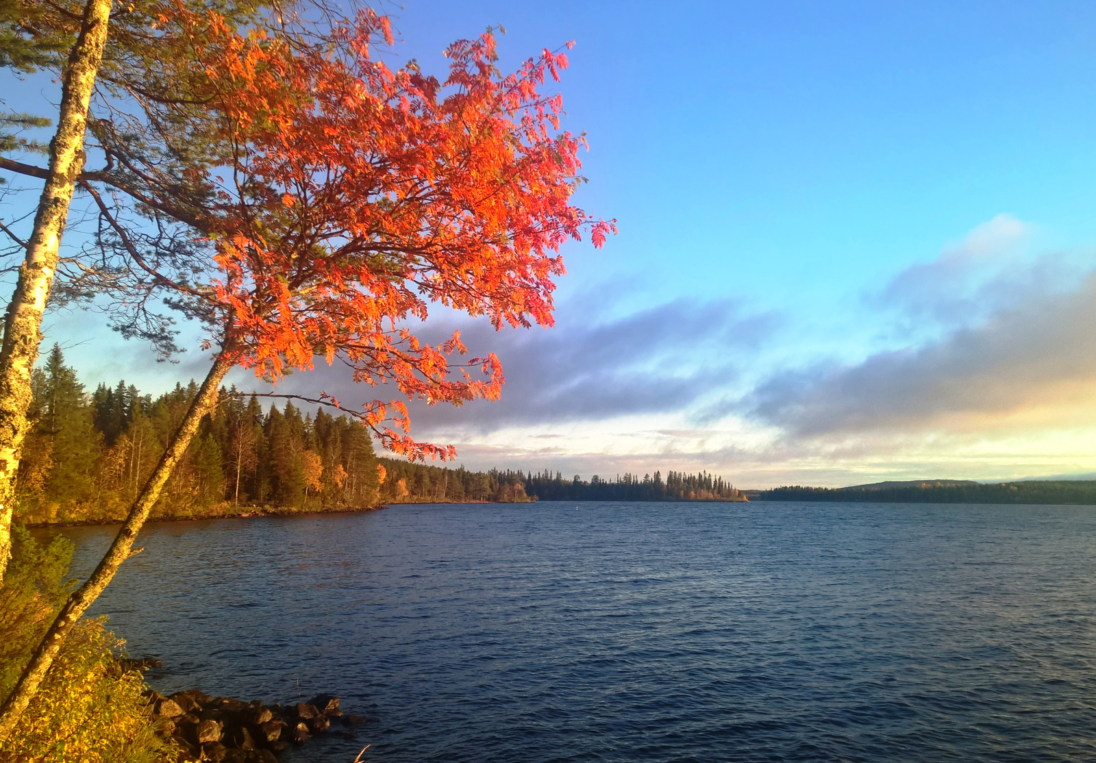 Autumn colours in Miekojärvi Lake in Pello in Finnish Lapland Travel